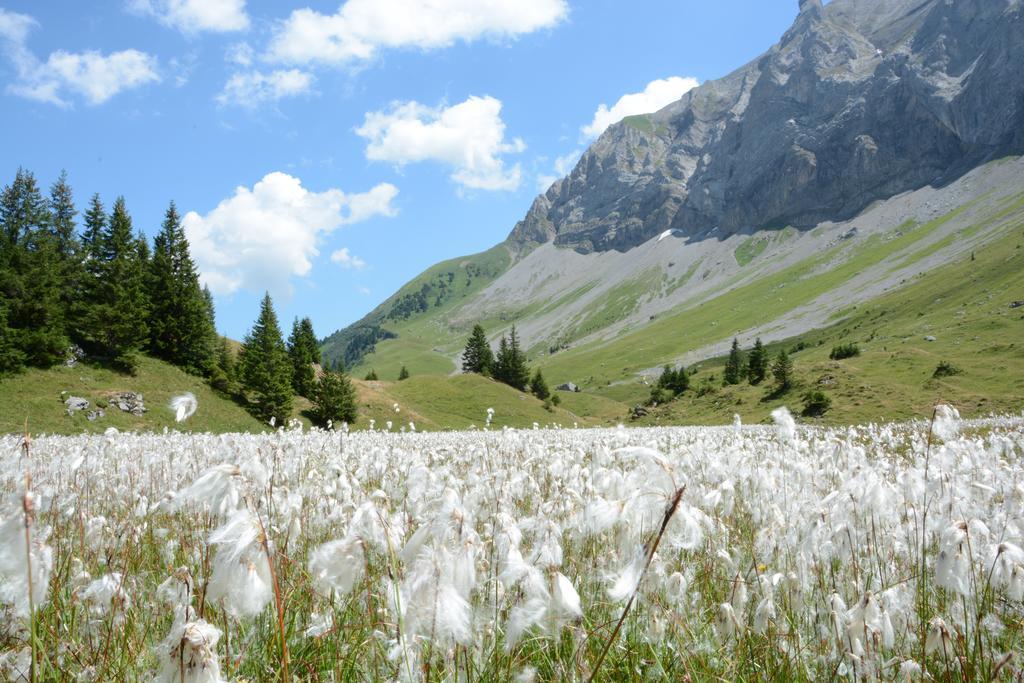 Hotel Hari Im Schlegeli Adelboden Exteriér fotografie