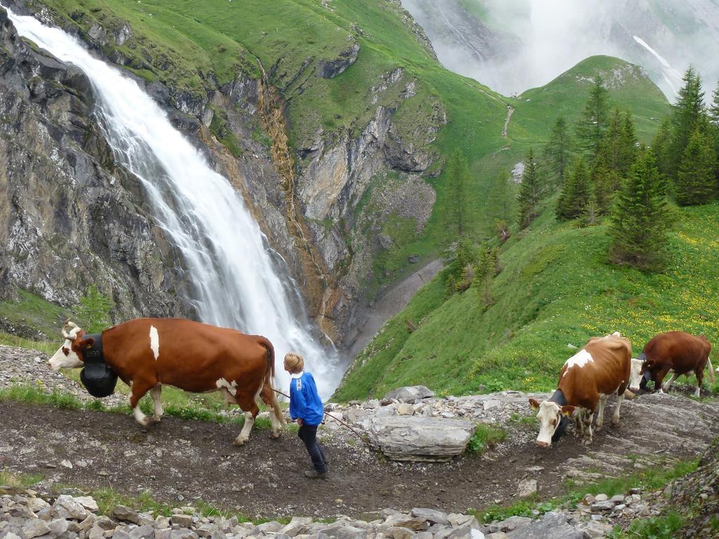 Hotel Hari Im Schlegeli Adelboden Exteriér fotografie