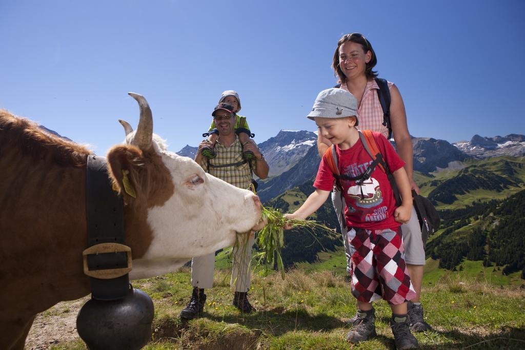 Hotel Hari Im Schlegeli Adelboden Exteriér fotografie