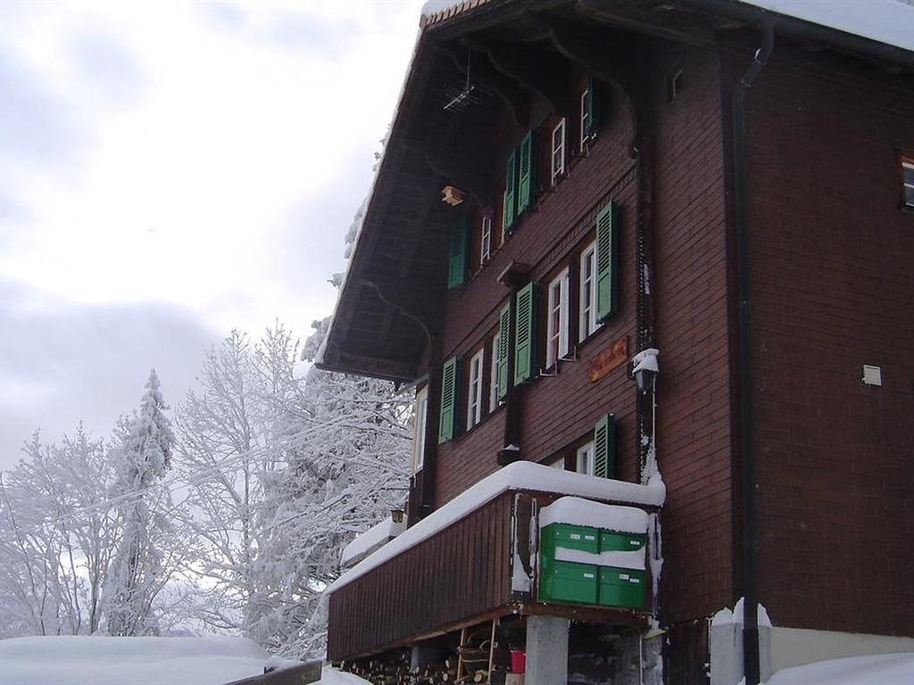 Hotel Hari Im Schlegeli Adelboden Exteriér fotografie